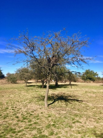 SE VENDEN LOTES ENTRE ALMAFUERTE Y EMBALSE DE CALAMUCHITA