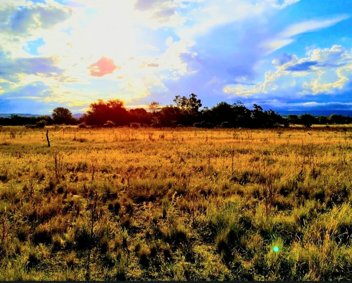 VENDO LOTES A 200 MTS DEL RIO QUILLINZO