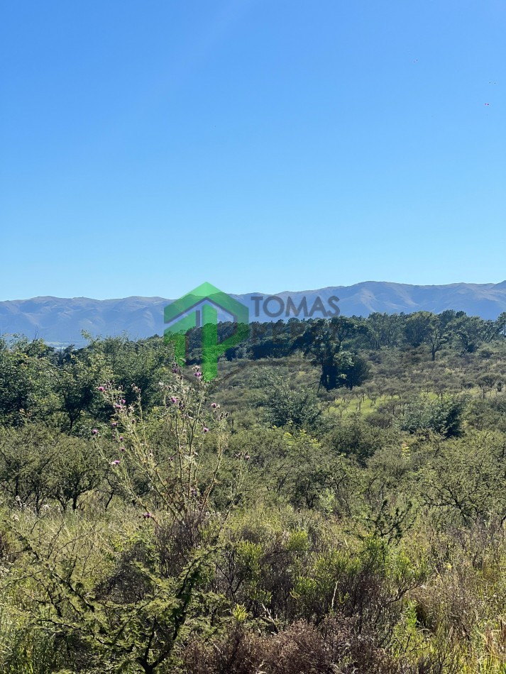 VENTA CAMPO EN CAPILLA VIEJA 